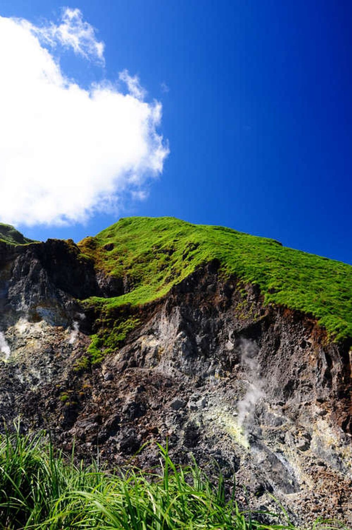[타이베이] 고궁박물관 + 양명산 + 단수이 단독투어 / 한국어 기사