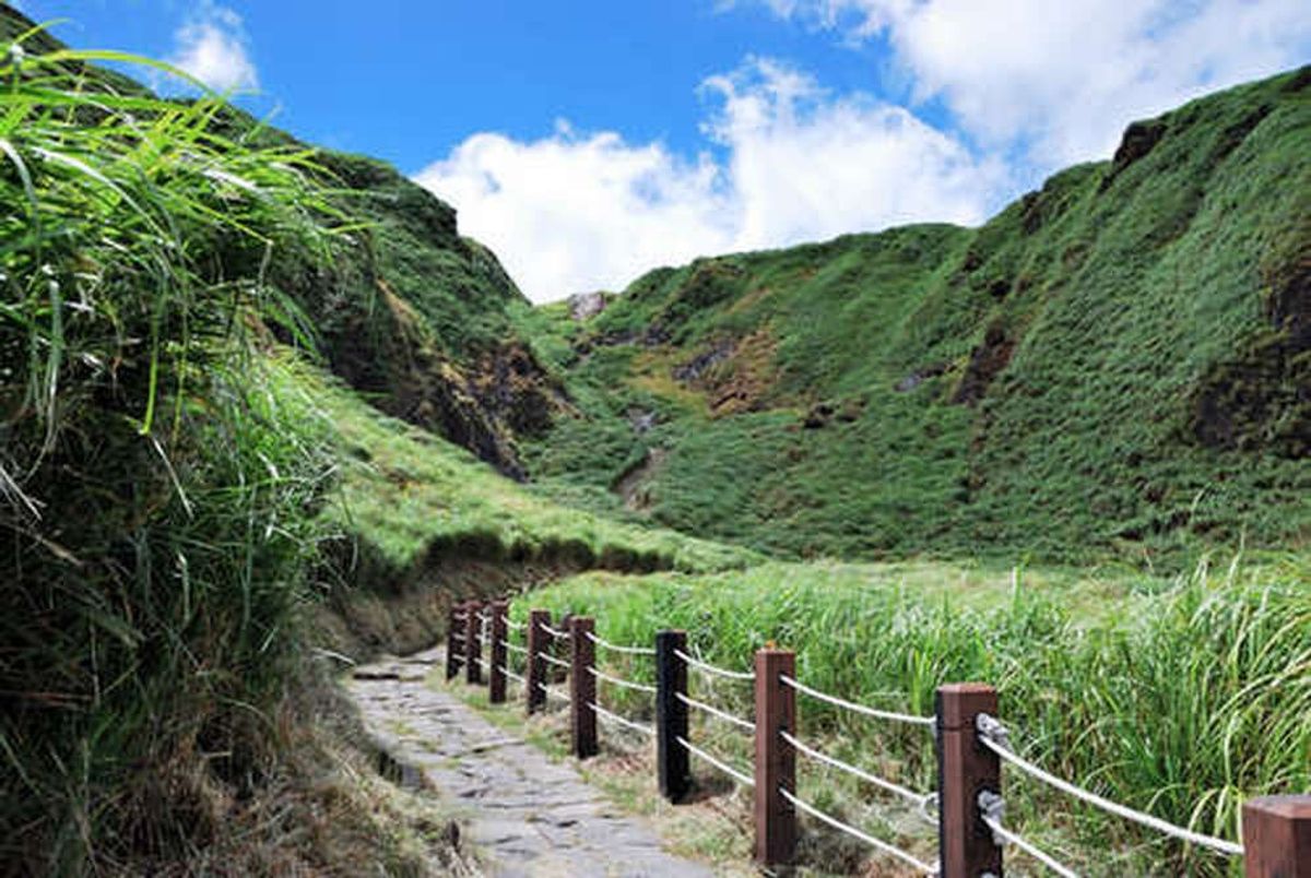 [타이베이] 고궁박물관 + 양명산 + 단수이 단독투어 / 한국어 기사
