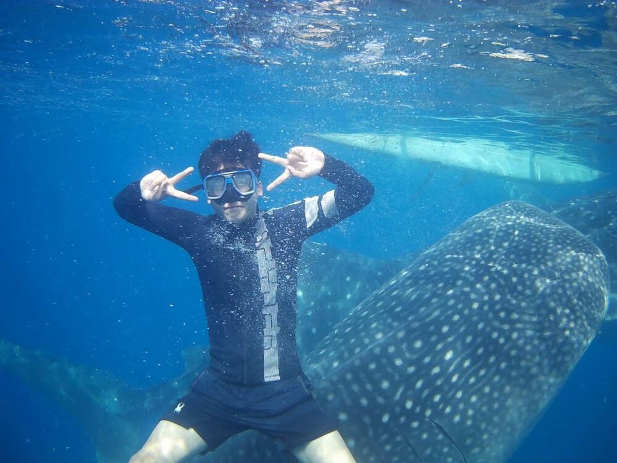 [세부] 오슬롭 고래상어 & 캐녀닝 투어 / 한국어 가이드