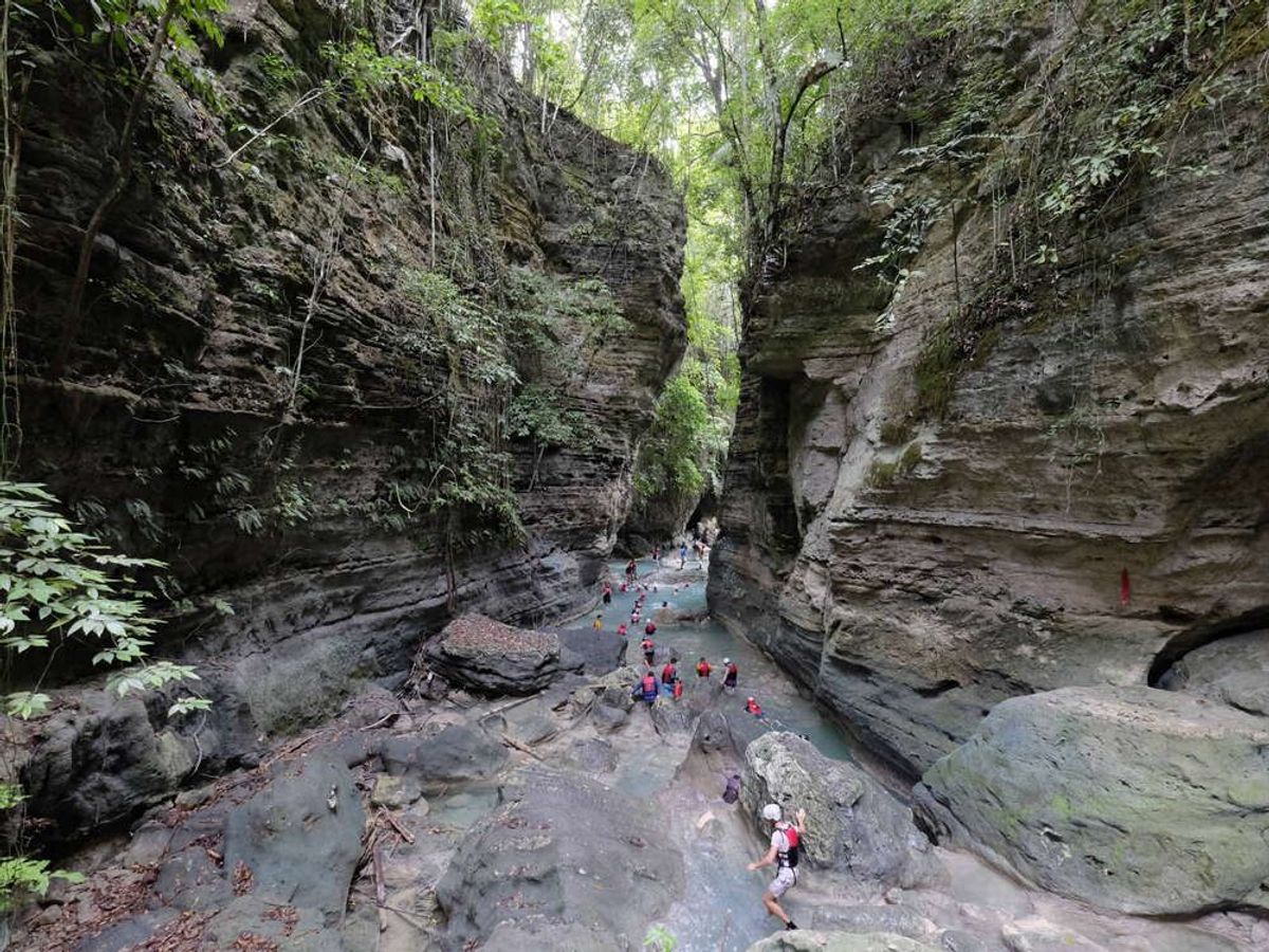 [세부] 오슬롭 고래상어 & 캐녀닝 투어 / 한국어 가이드