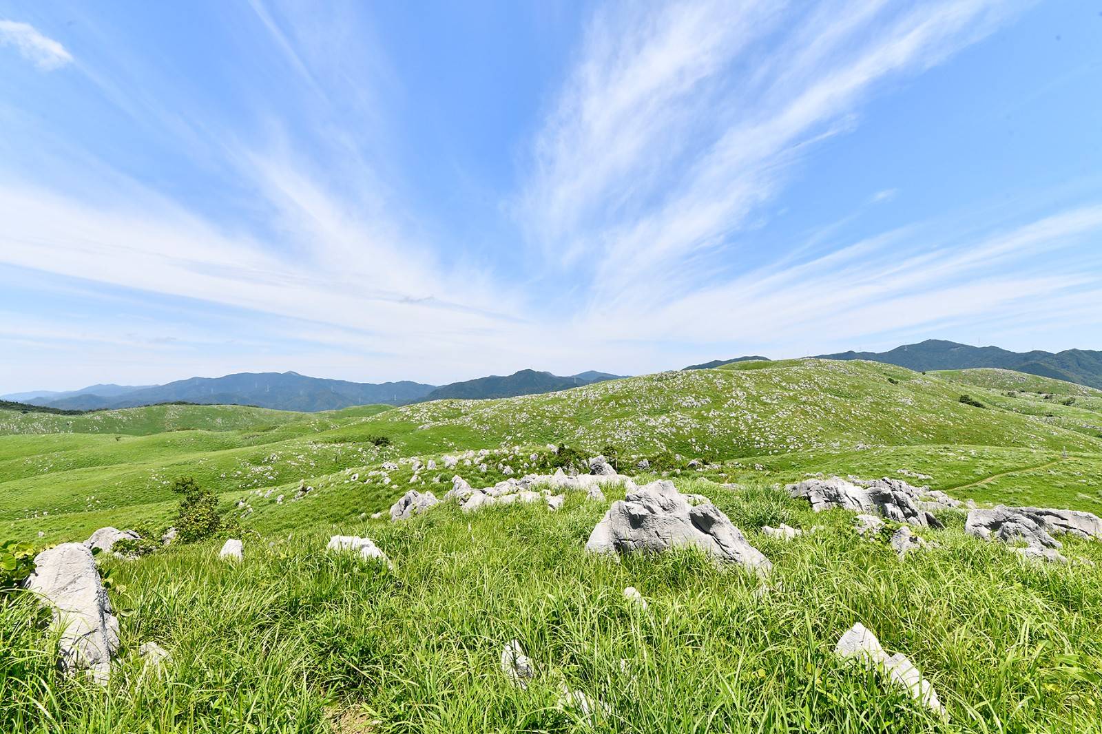 [야마구치]야마구치현 관광 주유 버스 투어 “후쿠의 여행” 야마구치호 B코스 (하기·아키요시 동굴)